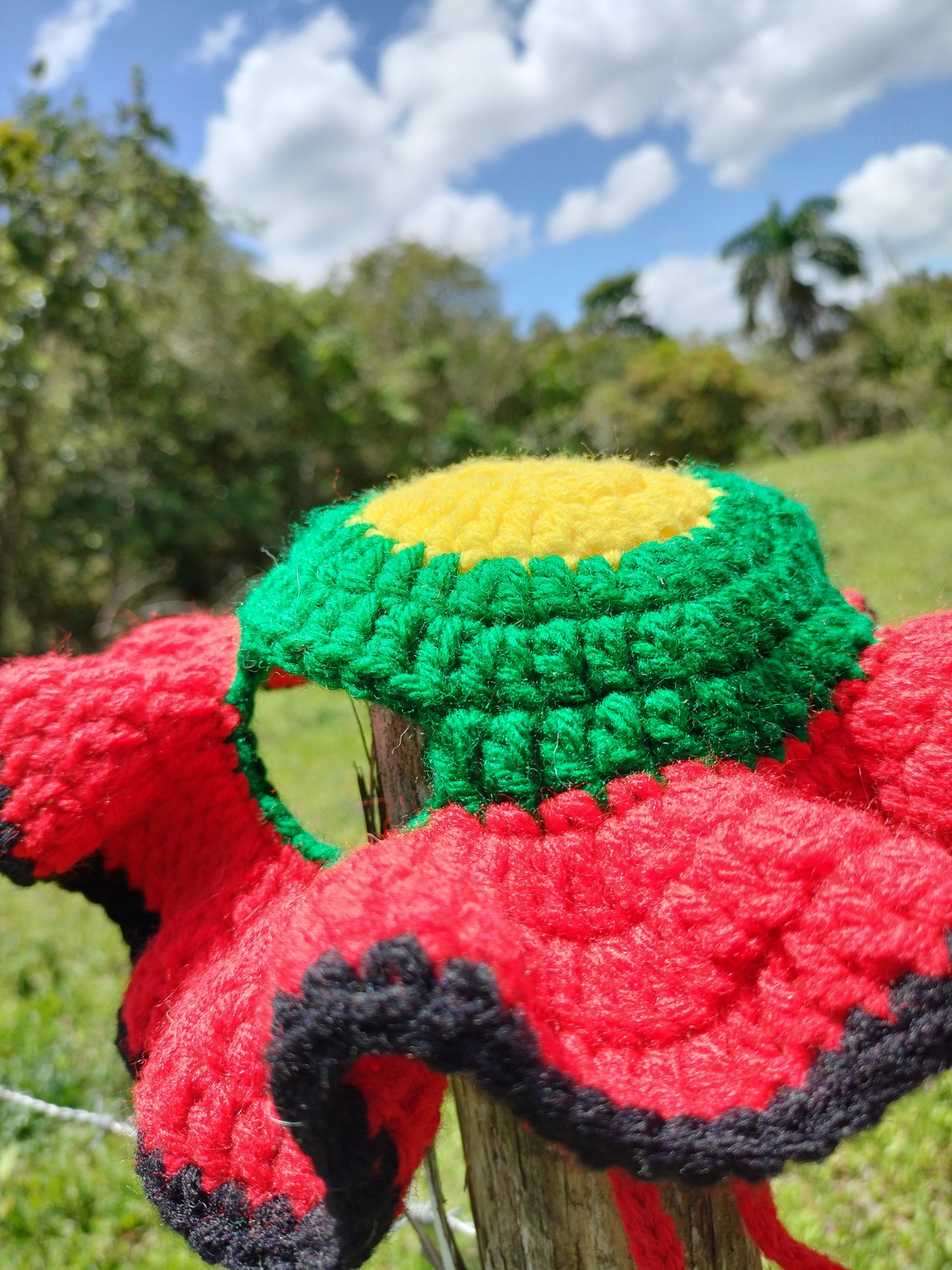 Rasta Bucket Hat