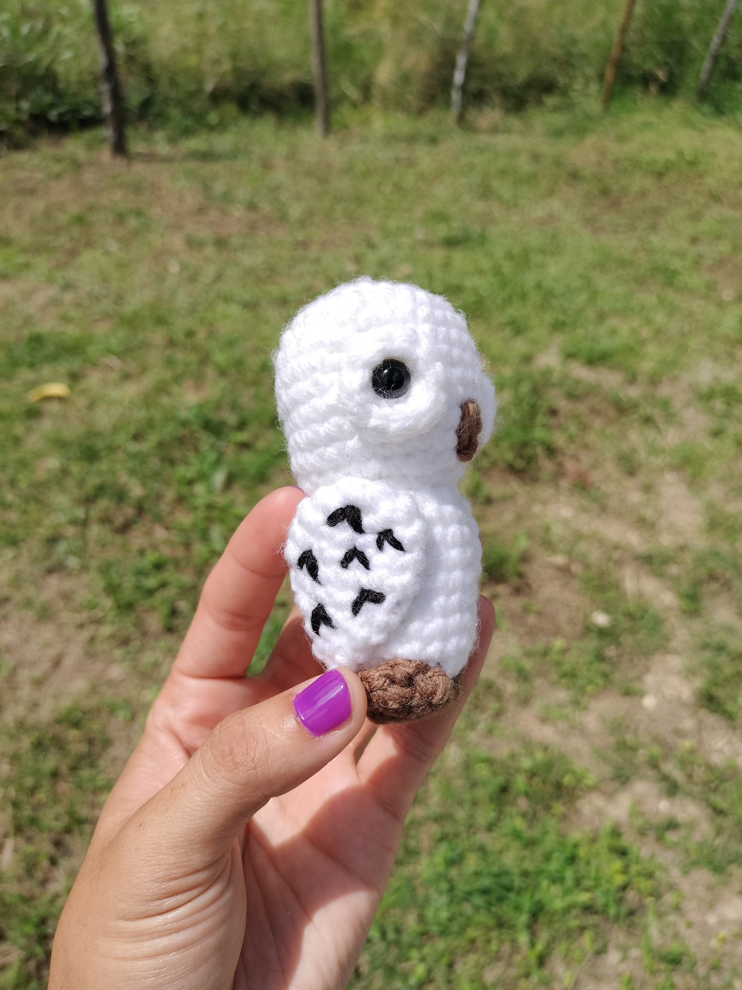 Hedwig