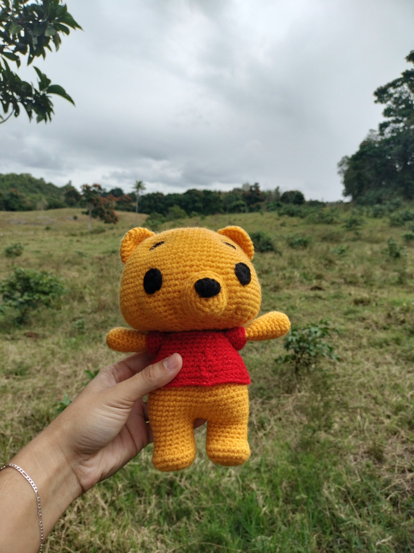 Winnie the Pooh