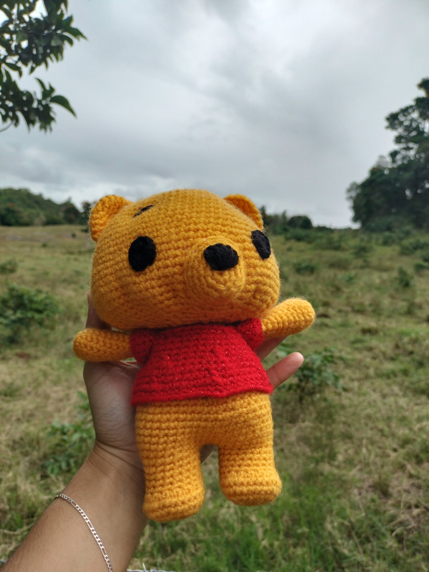 Winnie the Pooh