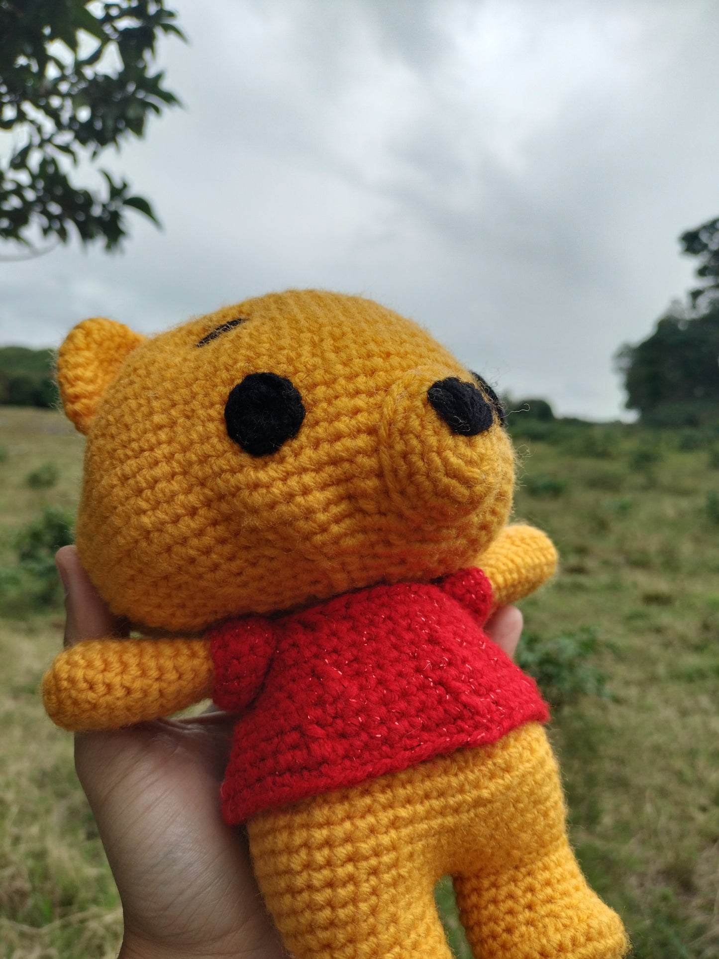 Winnie the Pooh