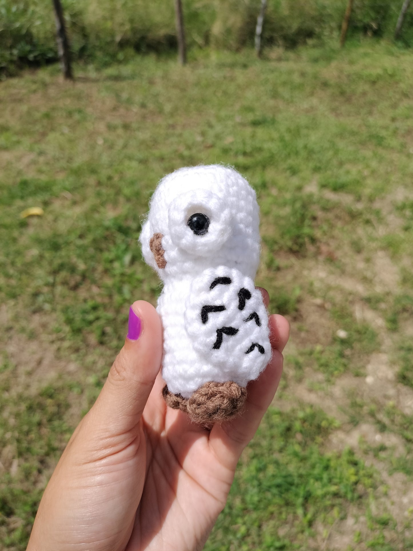 Hedwig