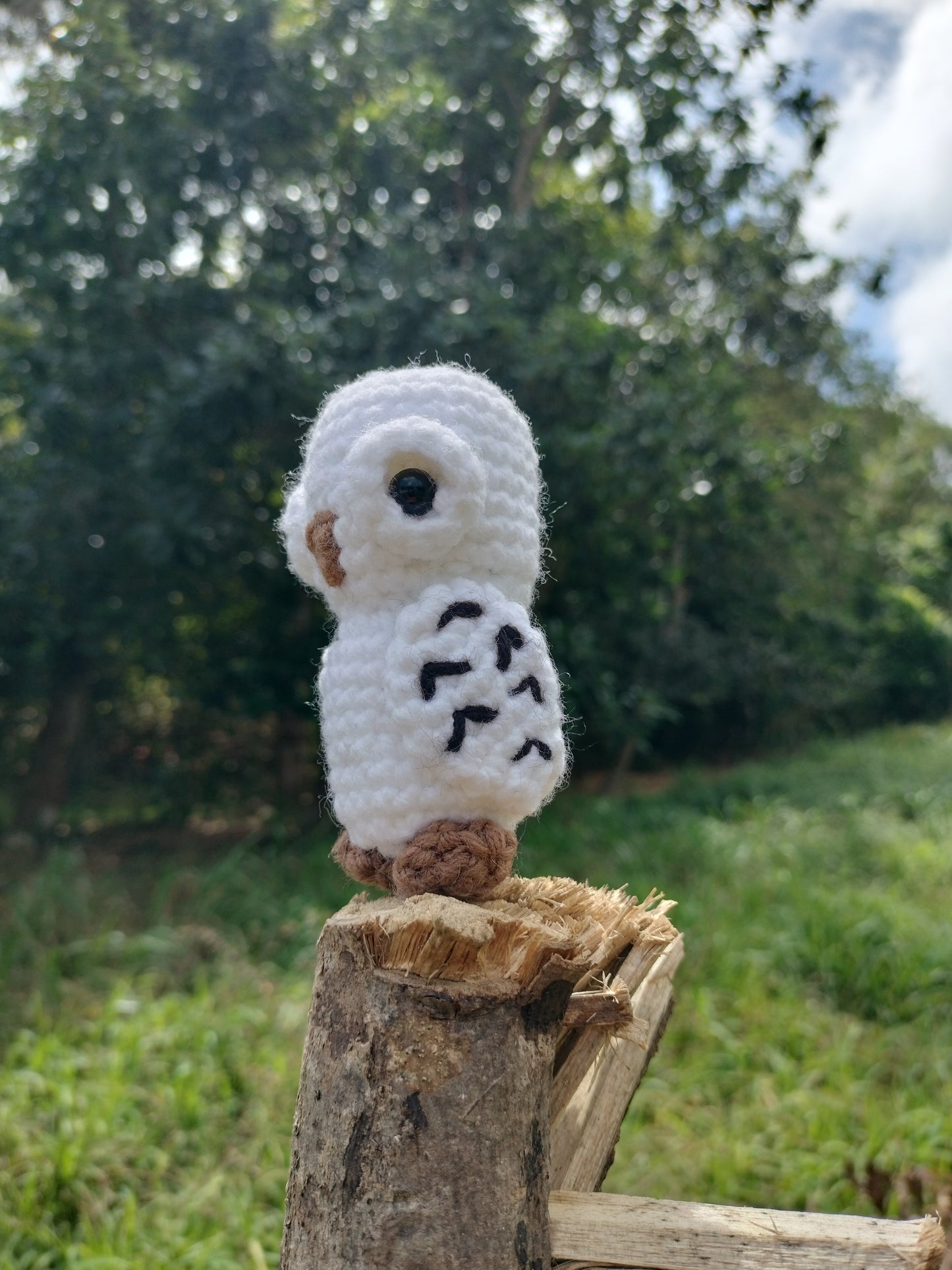 Hedwig