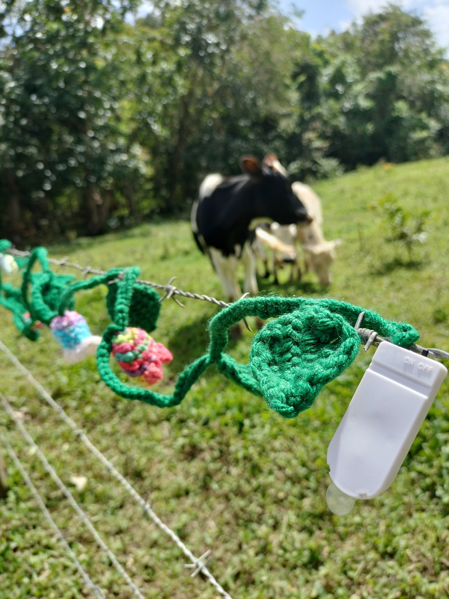 Flower Garland